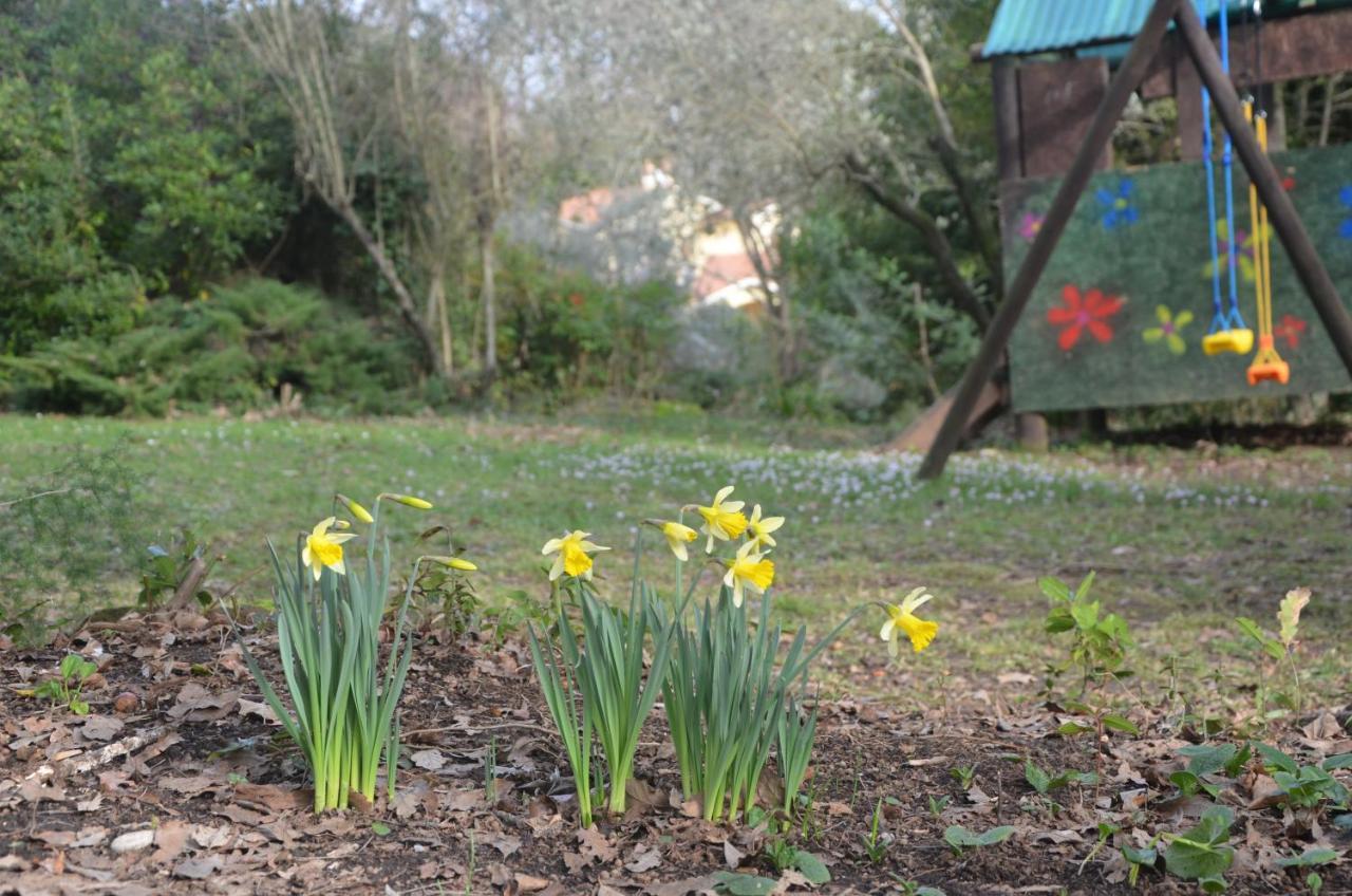 Apartament Il Giardino Secreto Manziana Zewnętrze zdjęcie