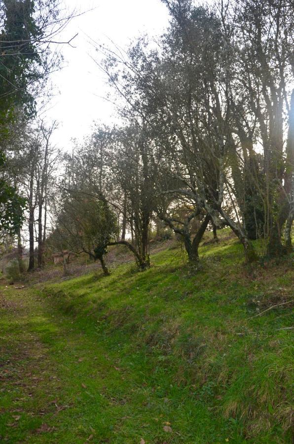 Apartament Il Giardino Secreto Manziana Zewnętrze zdjęcie