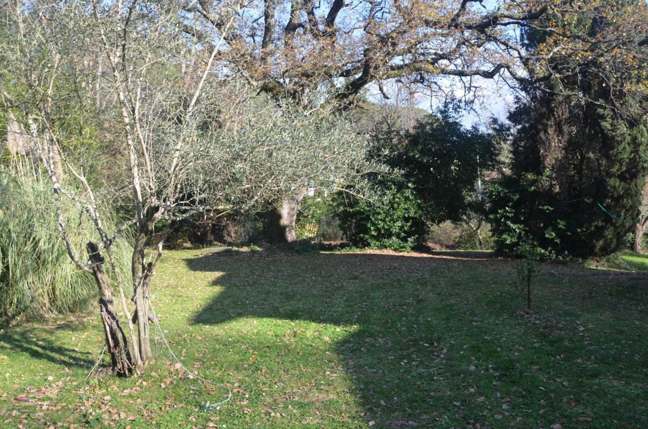 Apartament Il Giardino Secreto Manziana Zewnętrze zdjęcie