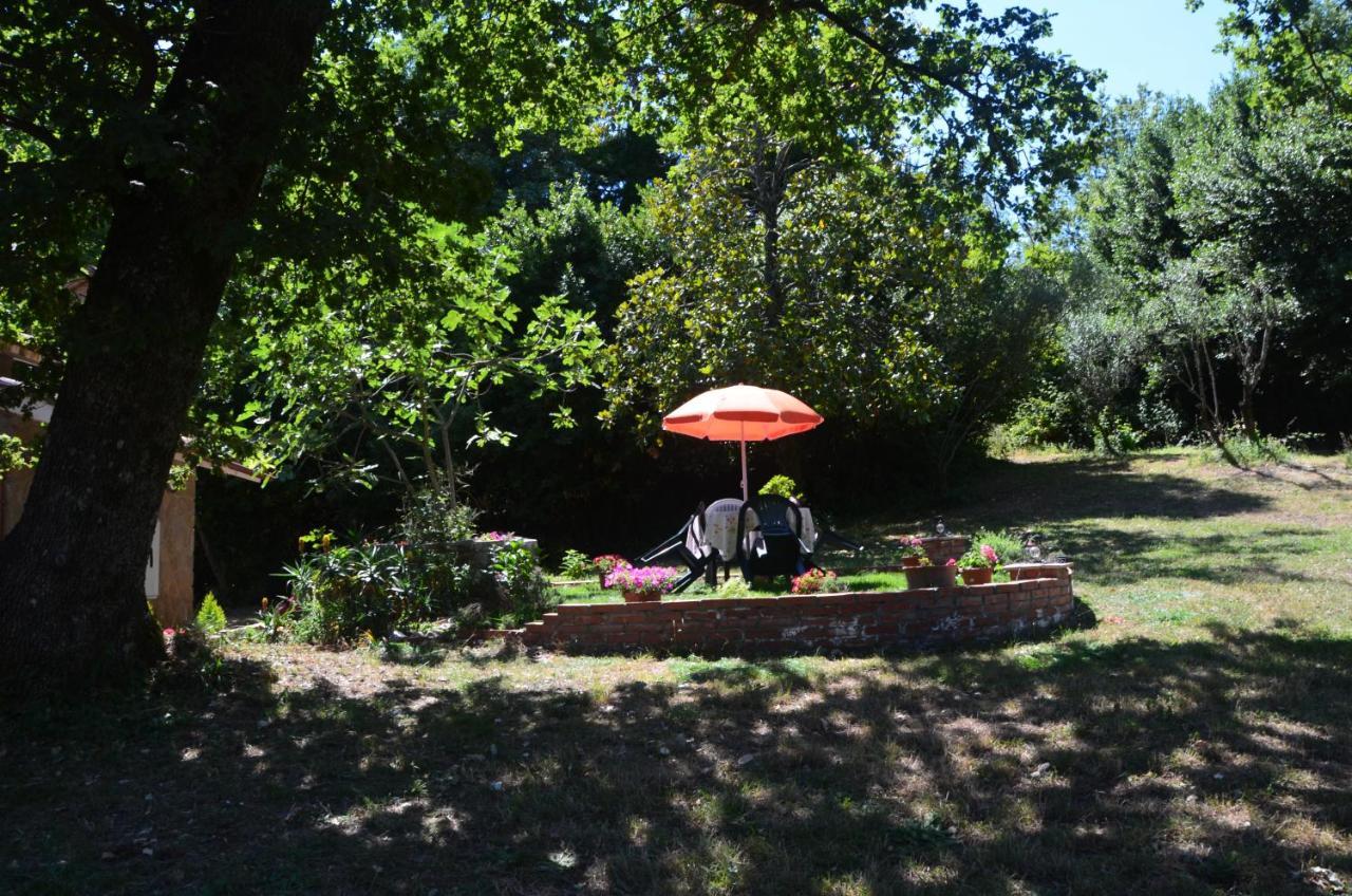 Apartament Il Giardino Secreto Manziana Zewnętrze zdjęcie