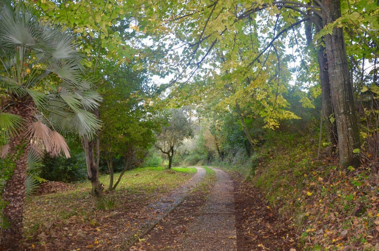 Apartament Il Giardino Secreto Manziana Zewnętrze zdjęcie