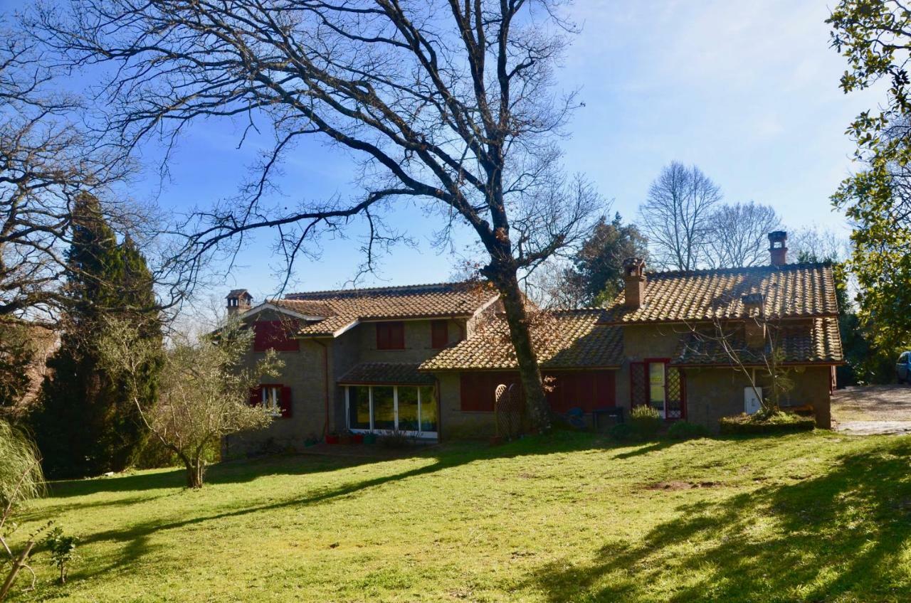 Apartament Il Giardino Secreto Manziana Zewnętrze zdjęcie