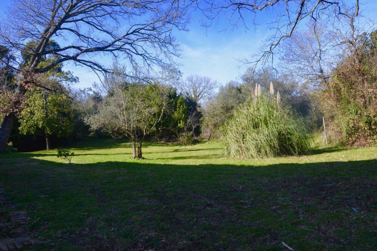 Apartament Il Giardino Secreto Manziana Zewnętrze zdjęcie
